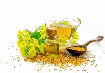 Massages ayurvédiques : l'huile de moutarde