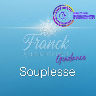 GUIDANCE - SOUPLESSE