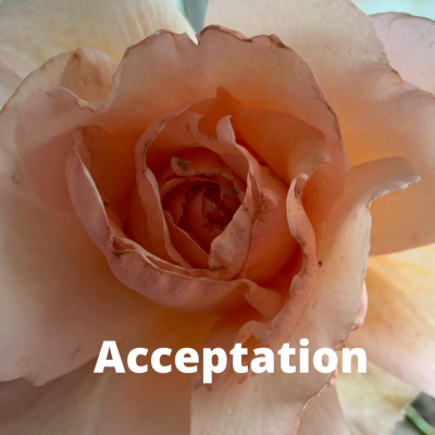 PETITE REFLEXION PERSO … sur L'ACCEPTATION