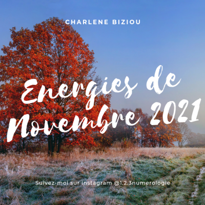 Les Énergies mensuelles : Novembre 2021