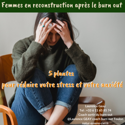 5 plantes pour réduire votre stress et votre anxiété suite à votre épuisement