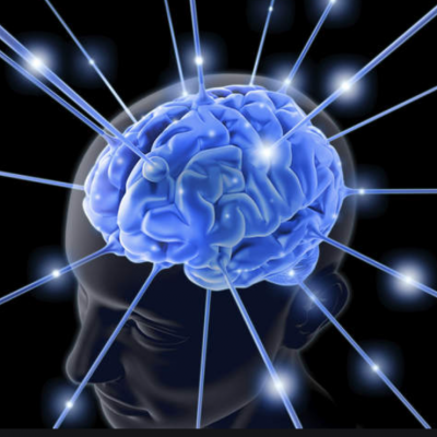 Réactions chimiques du cerveau en stress, ou comment laisser deux hormones guider notre vie?