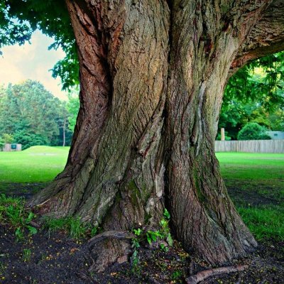 La Géobiologie au service du quotidien. Comment faire de votre maison, de votre bureau, votre entreprise un lieu de bonheur et de ressourcement ?