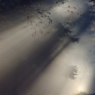 Dissipation des brumes matinales... L'astrologie intuitive