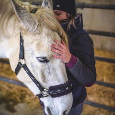 La Communication Animale