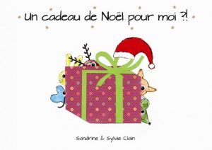 Un cadeau de Noel pour moi?!