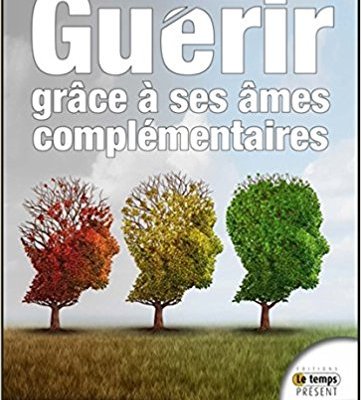 Guérir grâce à ses âmes complémentaires