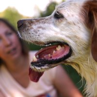 Prisca MELLOUET, votre spécialiste sur Vesoul